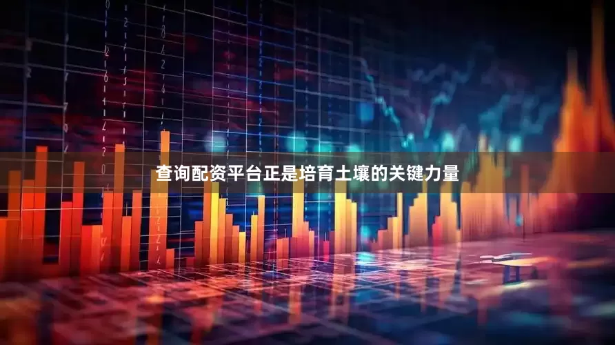 查询配资平台正是培育土壤的关键力量