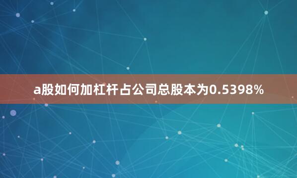 a股如何加杠杆占公司总股本为0.5398%