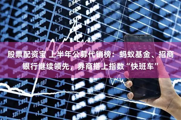 股票配资宝 上半年公募代销榜：蚂蚁基金、招商银行继续领先，券商搭上指数“快班车”