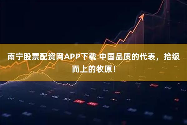 南宁股票配资网APP下载 中国品质的代表,拾级而上的牧原!