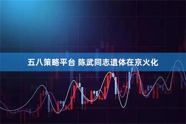 五八策略平台 陈武同志遗体在京火化